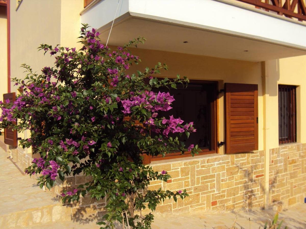 Marvelous Sea View Eco Apt Ammouliani Exterior photo